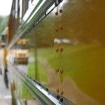 Strategi Disdik Mukomuko untuk Meningkatkan Literasi Digital di Sekolah